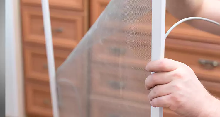 Privacy Mesh Screen Door Installation in Bay Point, CA